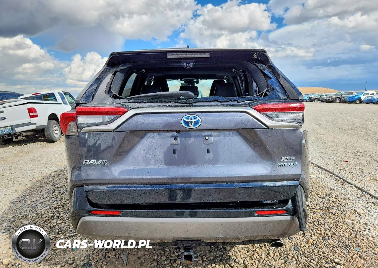 2019 Toyota Rav4 Xse VIN:JTMEWRFV9KJ017002 - 6