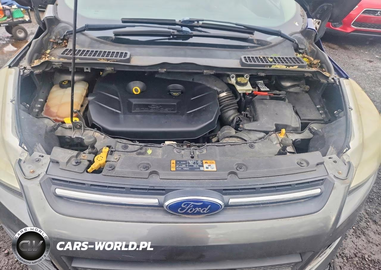 2014 Ford Escape Se VIN:1FMCU0G90EUE01243 - 11