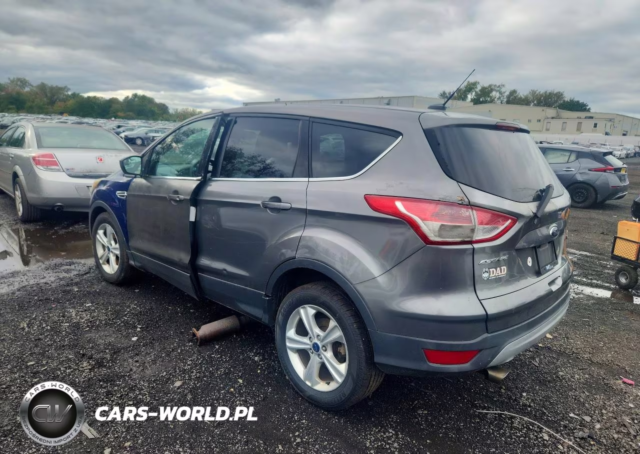 2014 Ford Escape Se VIN:1FMCU0G90EUE01243 - 2