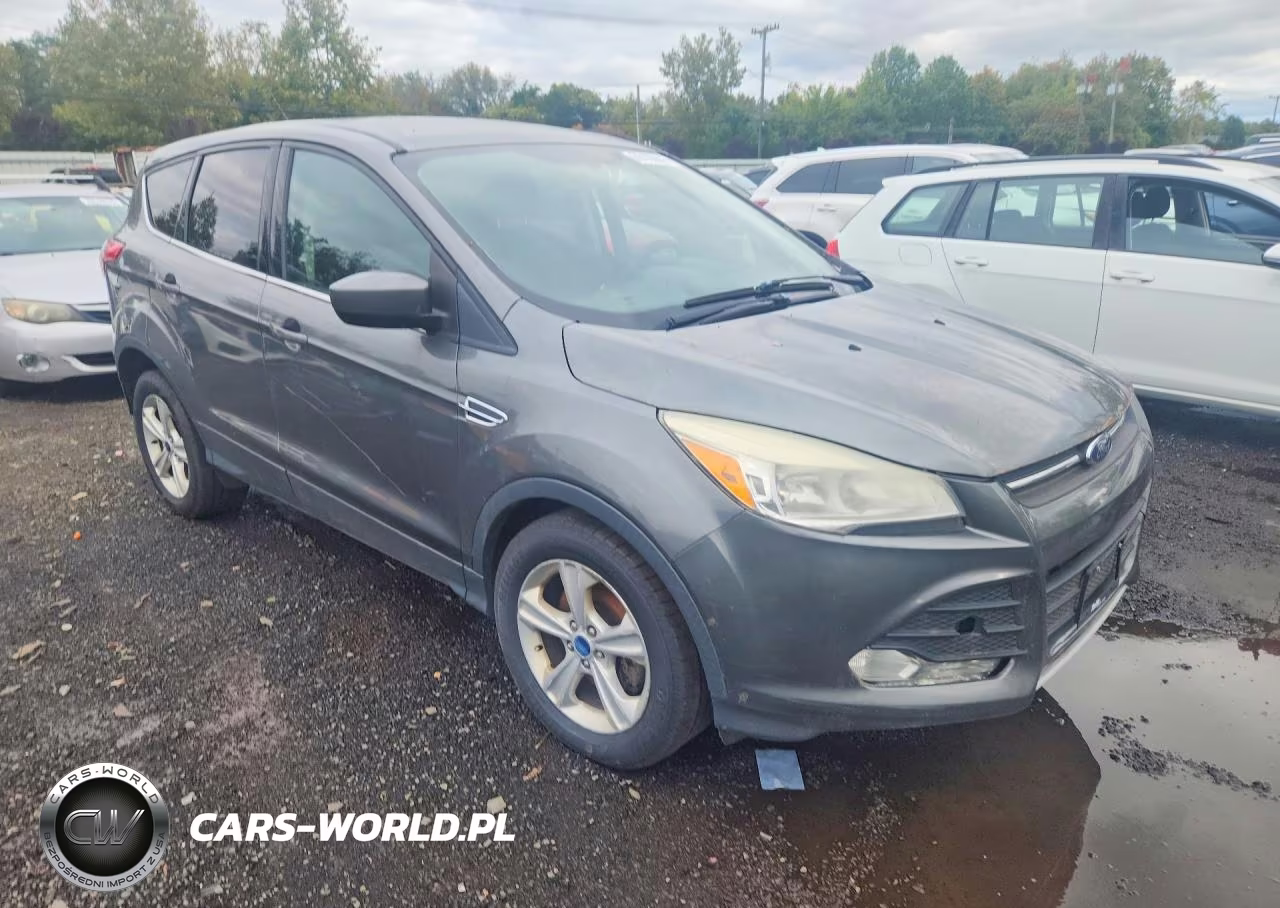 2014 Ford Escape Se VIN:1FMCU0G90EUE01243 - 4