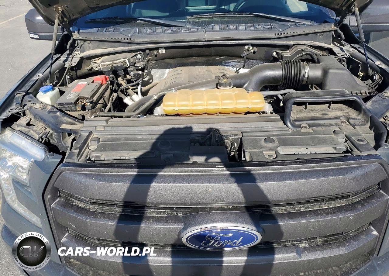 2016 Ford F150 Supercrew VIN:1FTEW1EG2GKE24598 - 11
