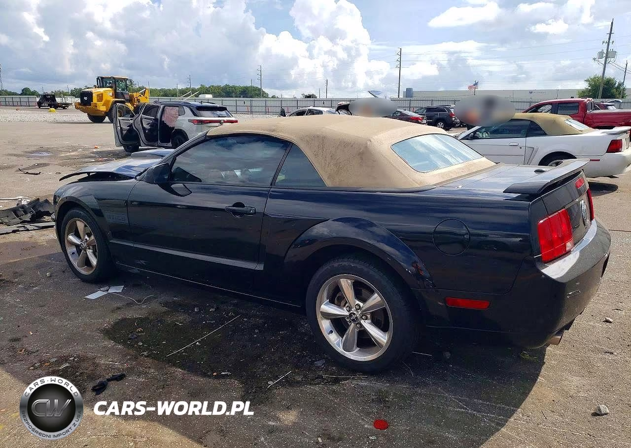 2007 Ford Mustang Gt VIN:1ZVHT85H675220860 - 2