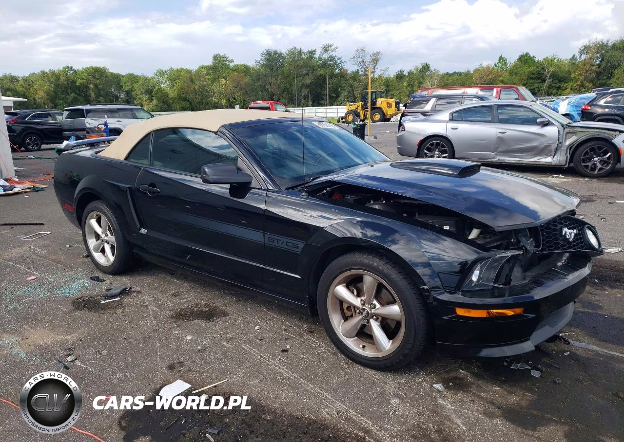 2007 Ford Mustang Gt VIN:1ZVHT85H675220860 - 4