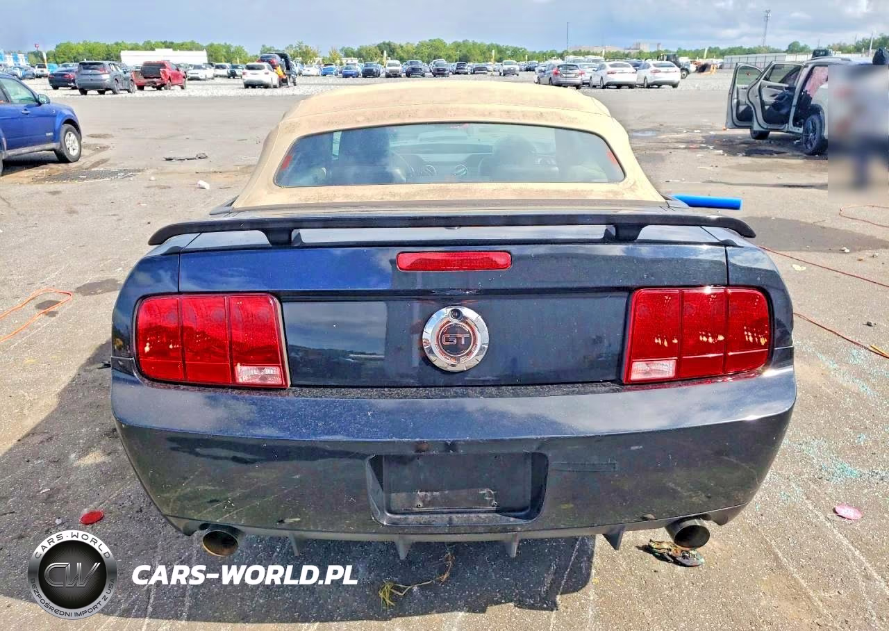 2007 Ford Mustang Gt VIN:1ZVHT85H675220860 - 6