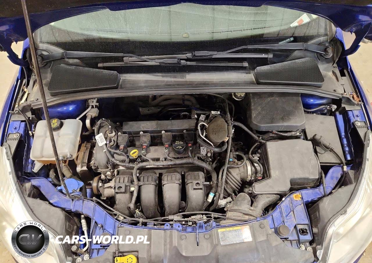 2014 Ford Focus Se VIN:1FADP3K24EL136205 - 11