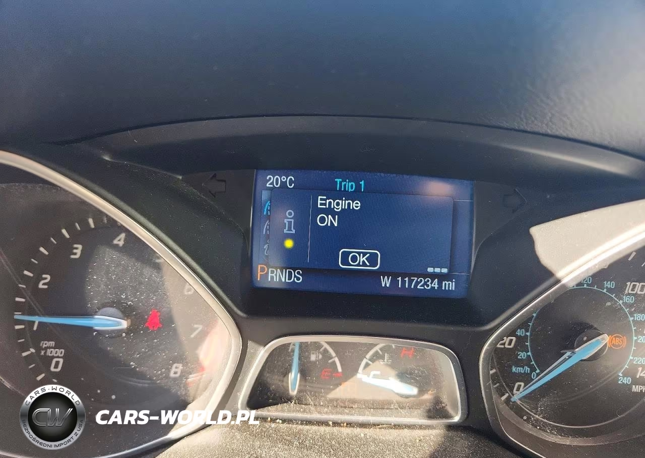 2014 Ford Focus Se VIN:1FADP3K24EL136205 - 9