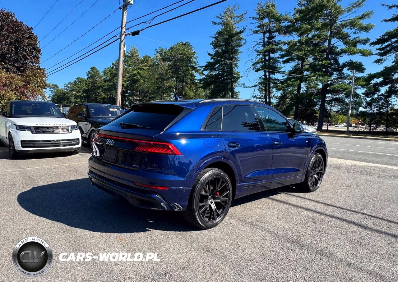 2019 Audi Q8 Premium Plus S-Line VIN:WA1EVAF13KD014056 - 3