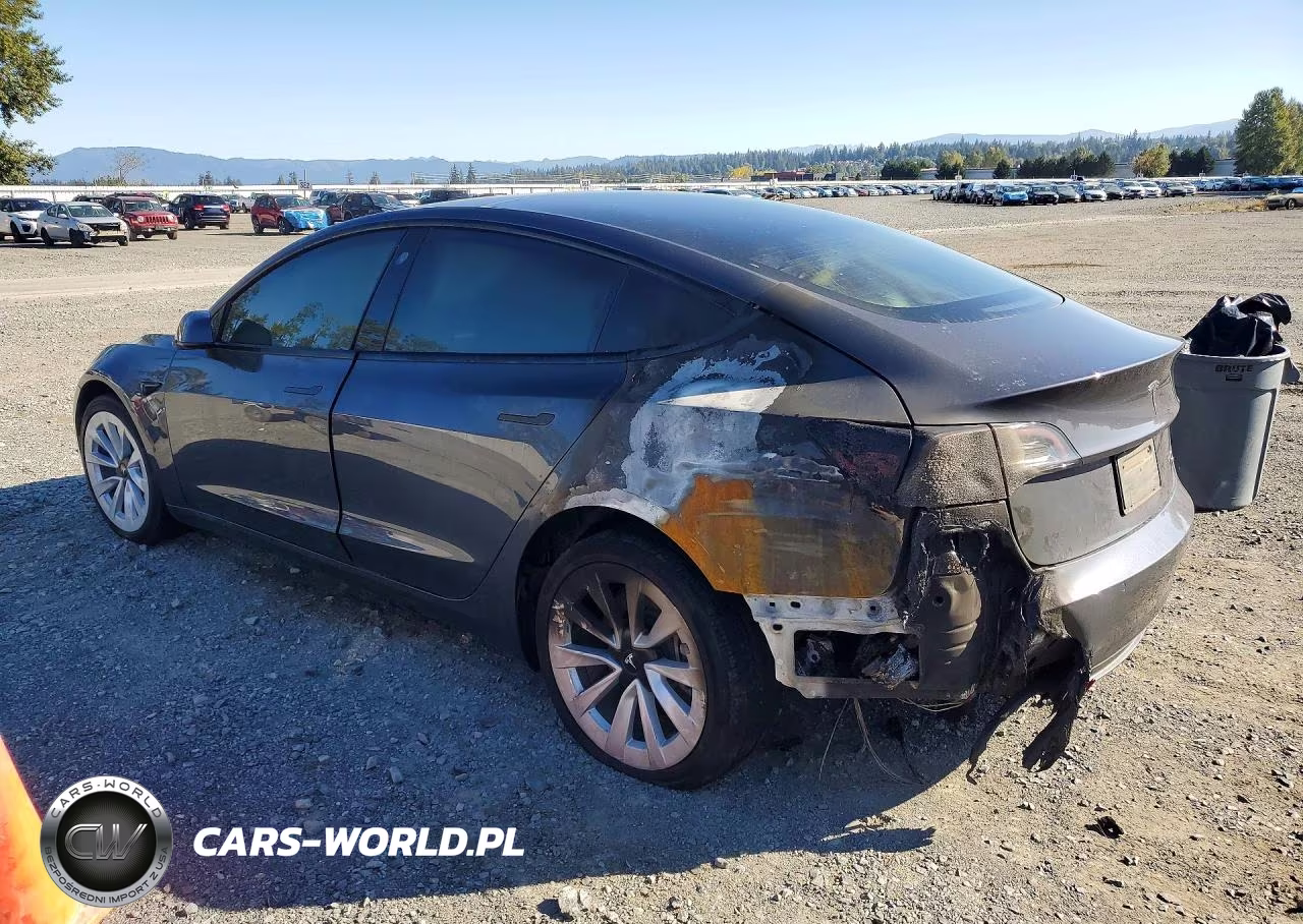 2022 Tesla Model 3 VIN:5YJ3E1EB0NF192981 - 2