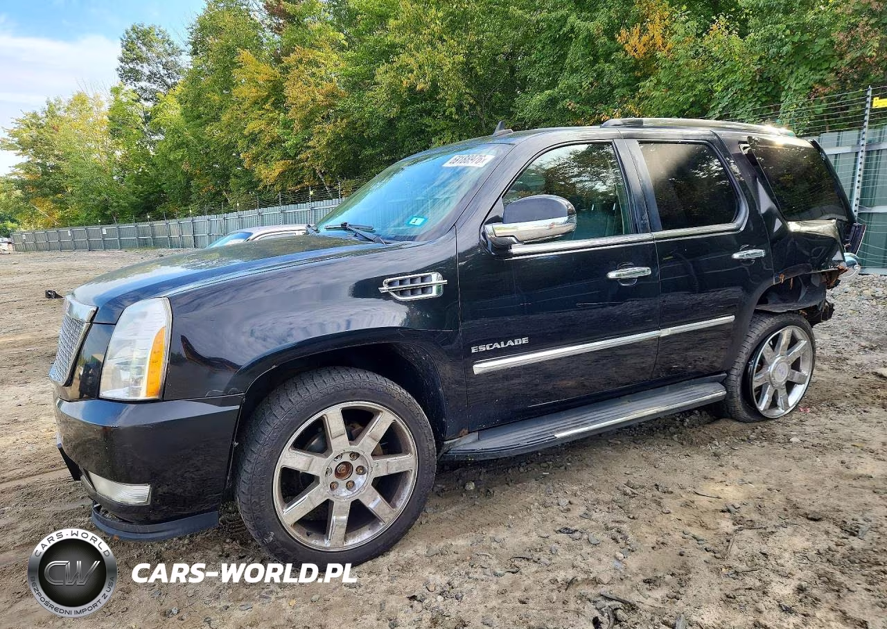 2012 Cadillac Escalade Luxury VIN:1GYS4BEF6CR119865 - 1