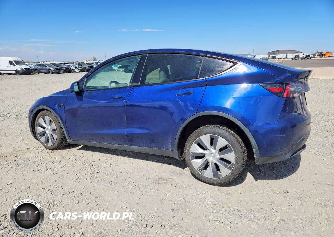 2023 Tesla Model Y VIN:7SAYGDEE3PF639255 - 2