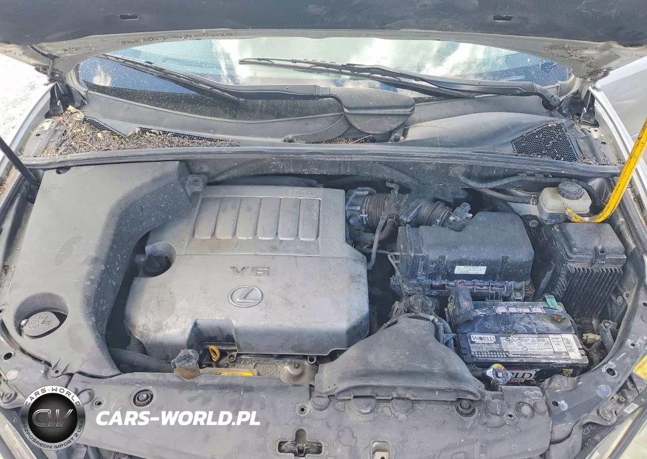 2007 Lexus Rx 350 VIN:JTJGK31U470009898 - 12