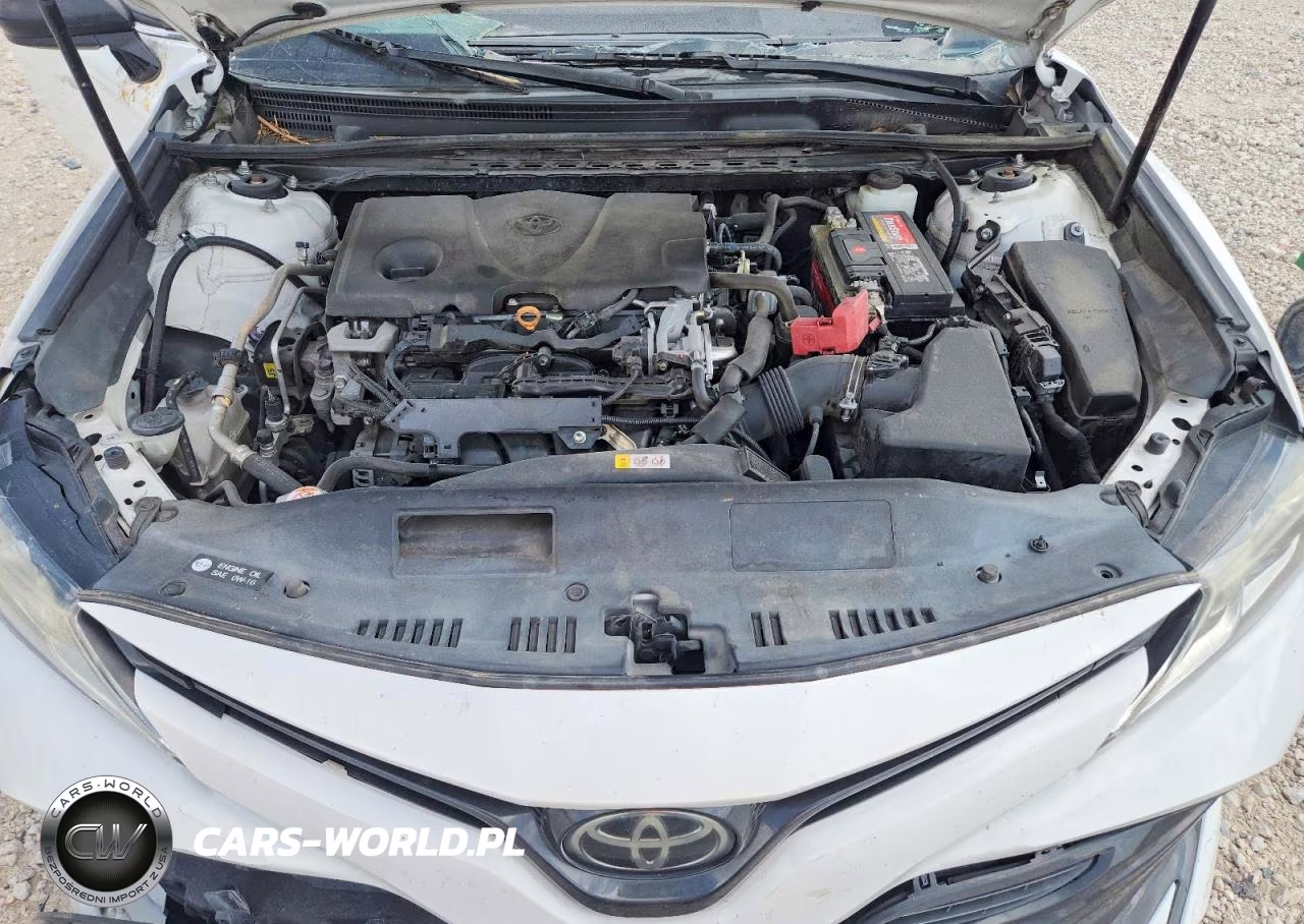 2019 Toyota Camry Le VIN:4T1B11HK1KU263736 - 11