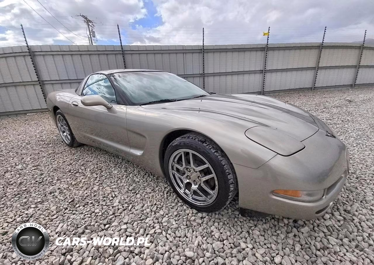 2000 Chevrolet Corvette VIN:1G1YY22G8Y5123862 - 4