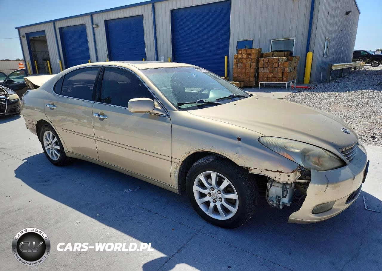 2002 Lexus Es 300 VIN:JTHBF30G520066986 - 4