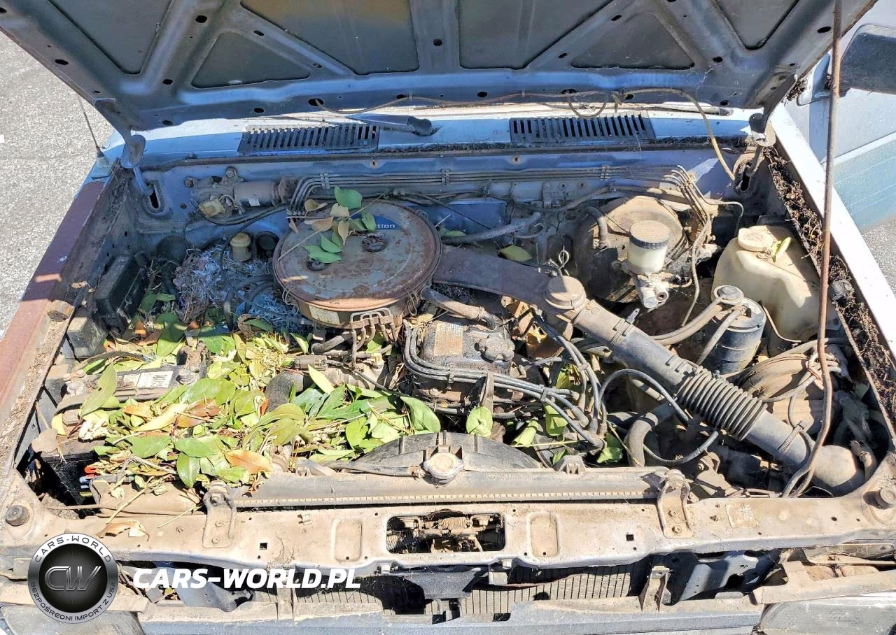 1986 Nissan Truck Base VIN:JN6ND11S6GW008995 - 11