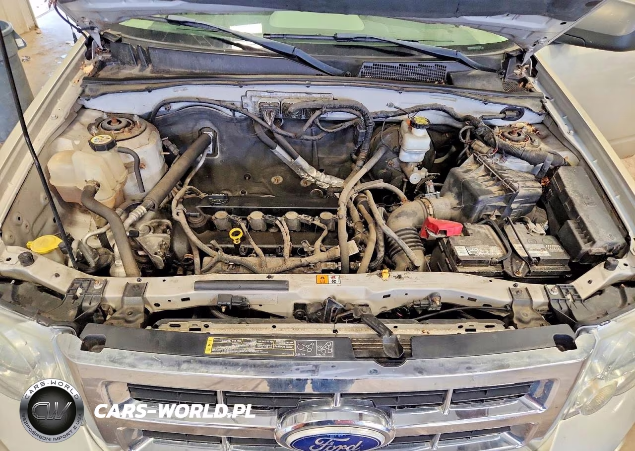 2010 Ford Escape Xlt VIN:1FMCU9D76AKA86347 - 12