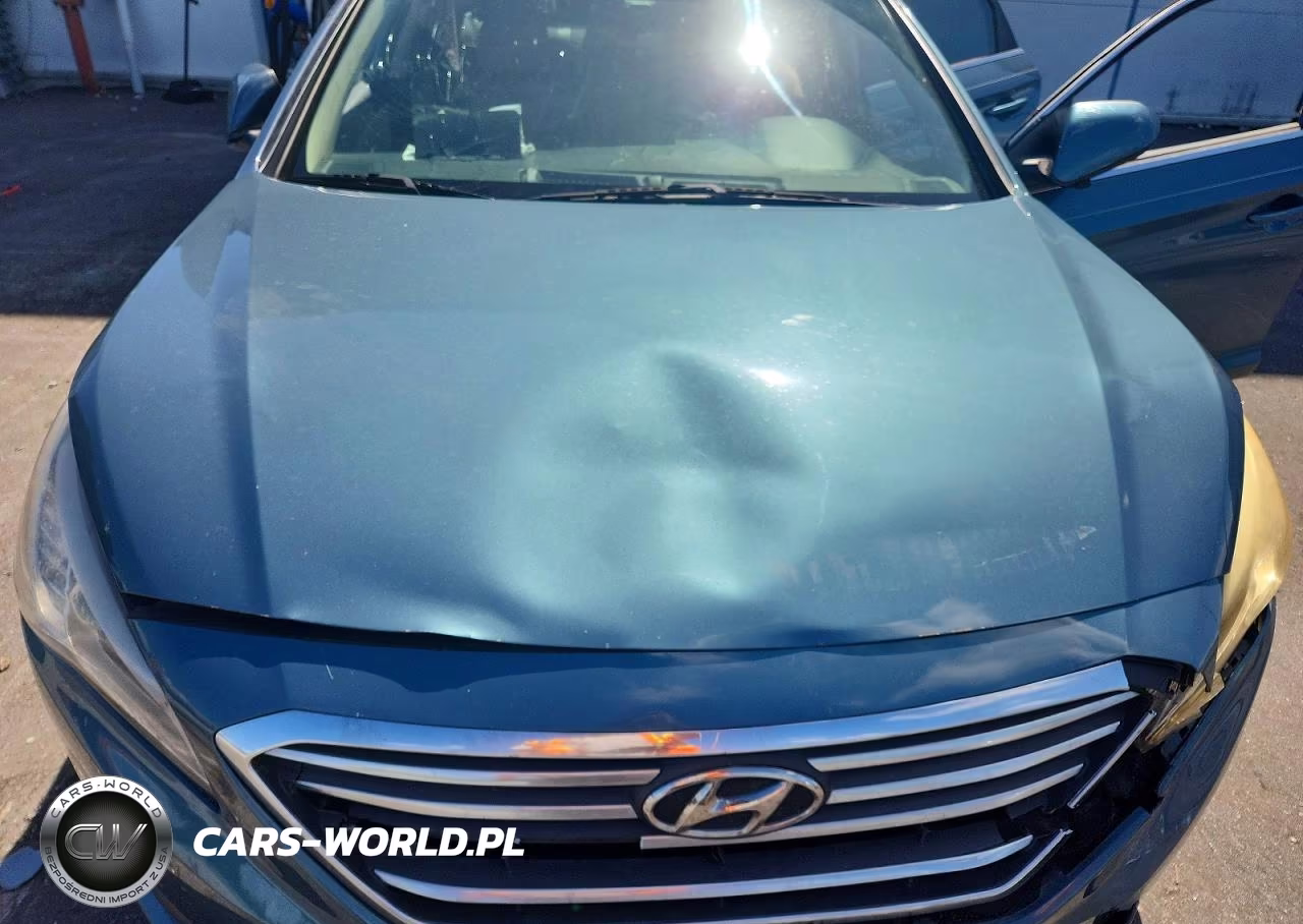 2015 Hyundai Sonata Se VIN:5NPE24AF6FH147932 - 11