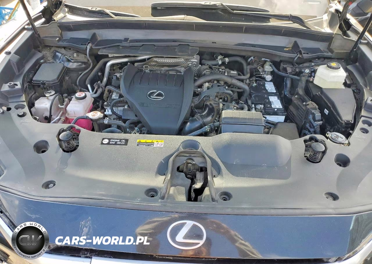 2024 Lexus Tx 350 Premium VIN:5TDAAAB61RS000737 - 12