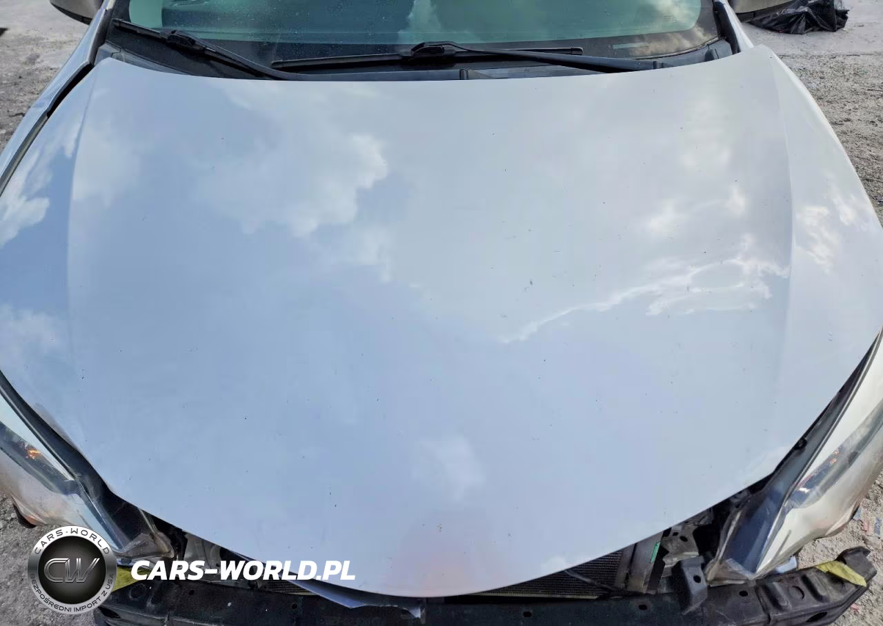 2016 Toyota Corolla Le VIN:2T1BURHE0GC624365 - 11