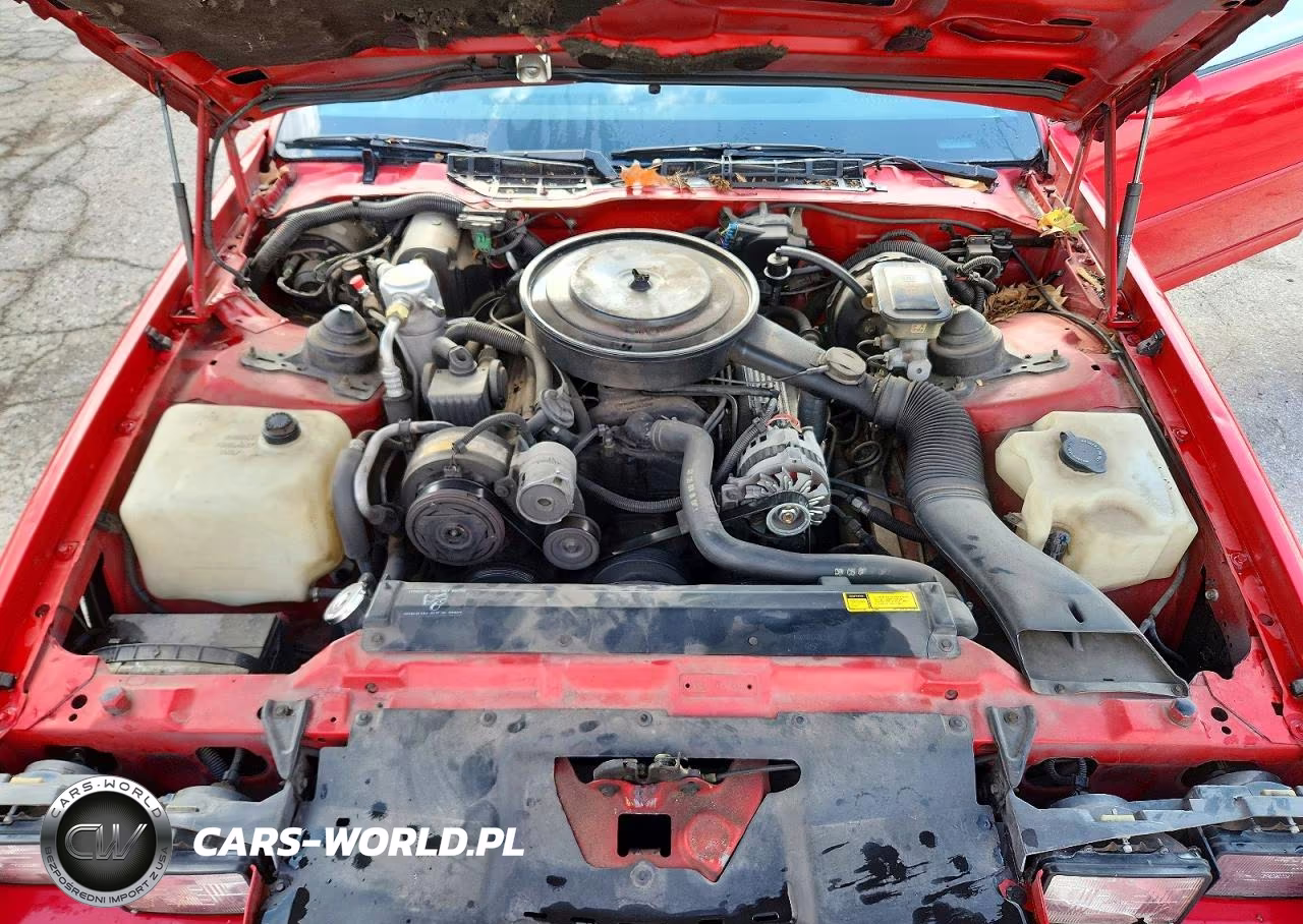 1989 Chevrolet Camaro VIN:1G1FP21E9KL115119 - 11
