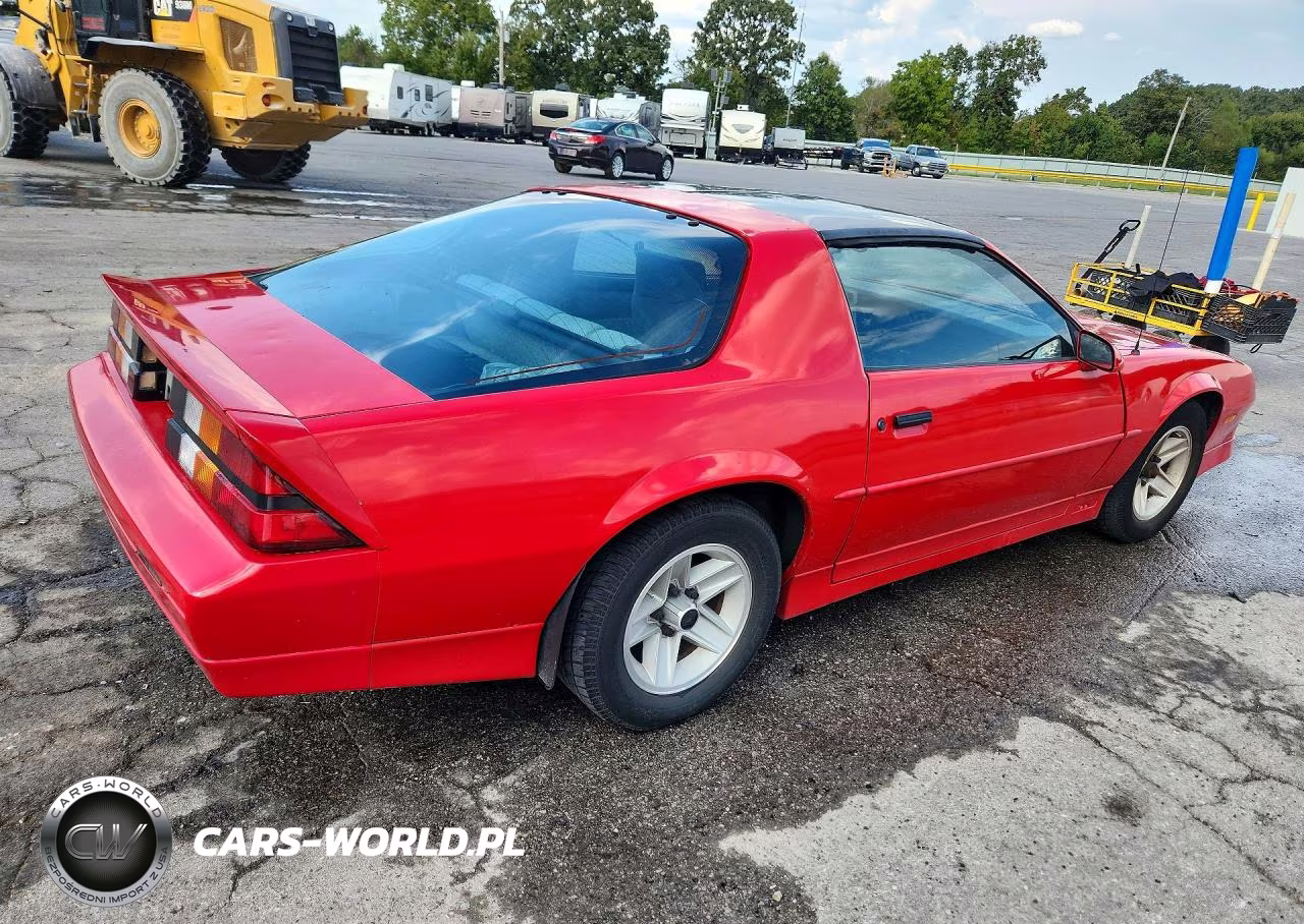 1989 Chevrolet Camaro VIN:1G1FP21E9KL115119 - 3