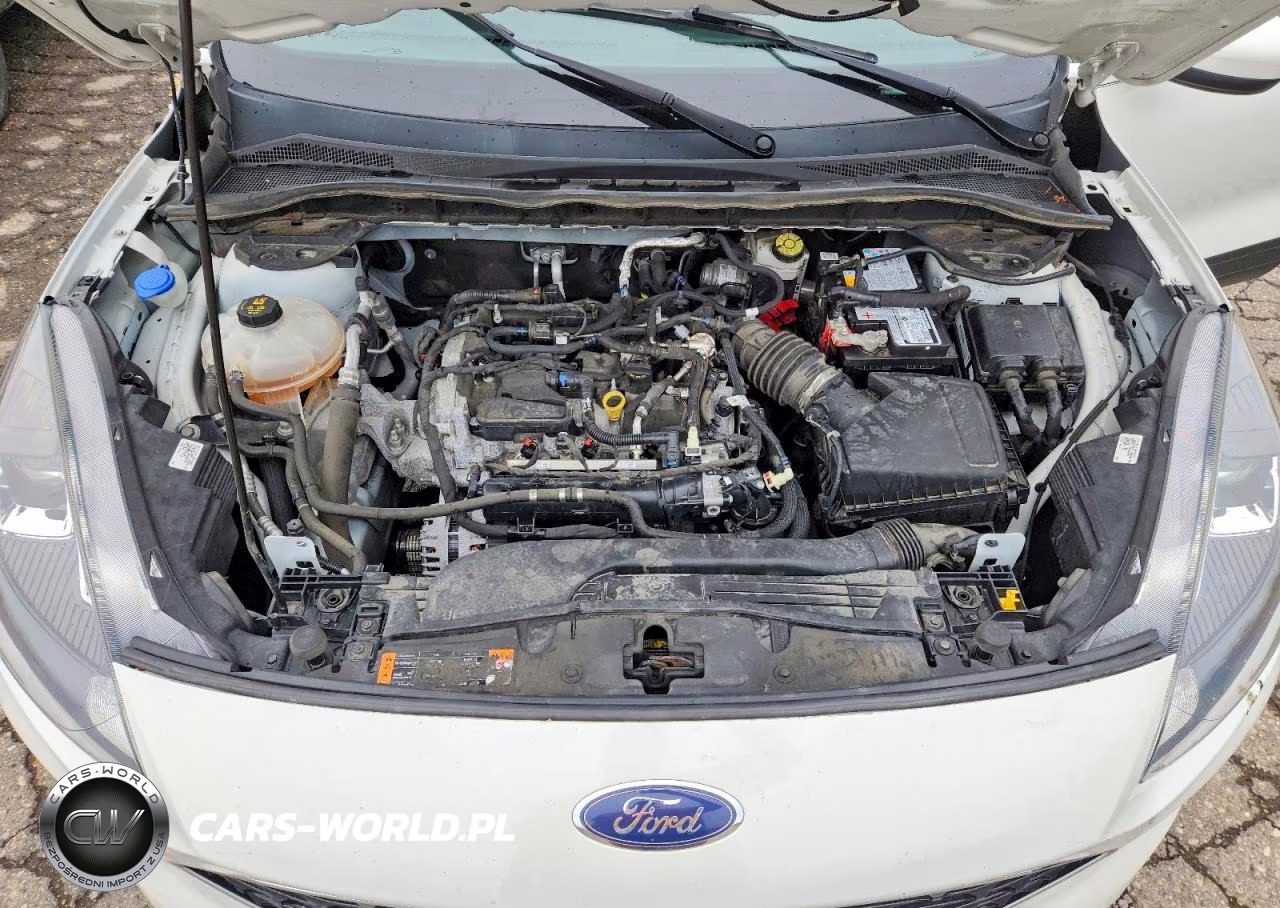 2021 Ford Escape Sel VIN:1FMCU0H67MUB05025 - 12