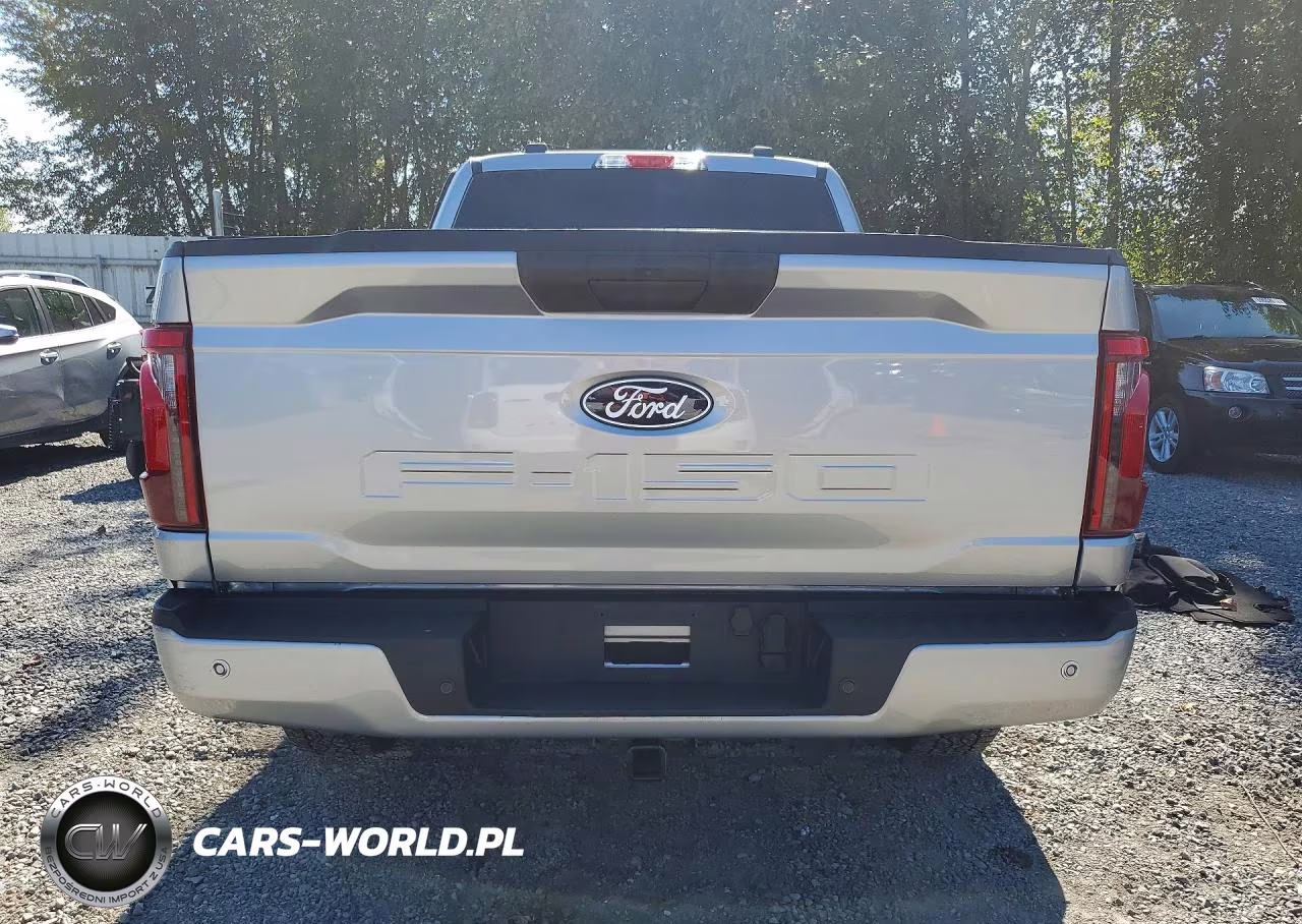 2025 Ford F150 Stx VIN:1FTEX2LP0SKE19477 - 6