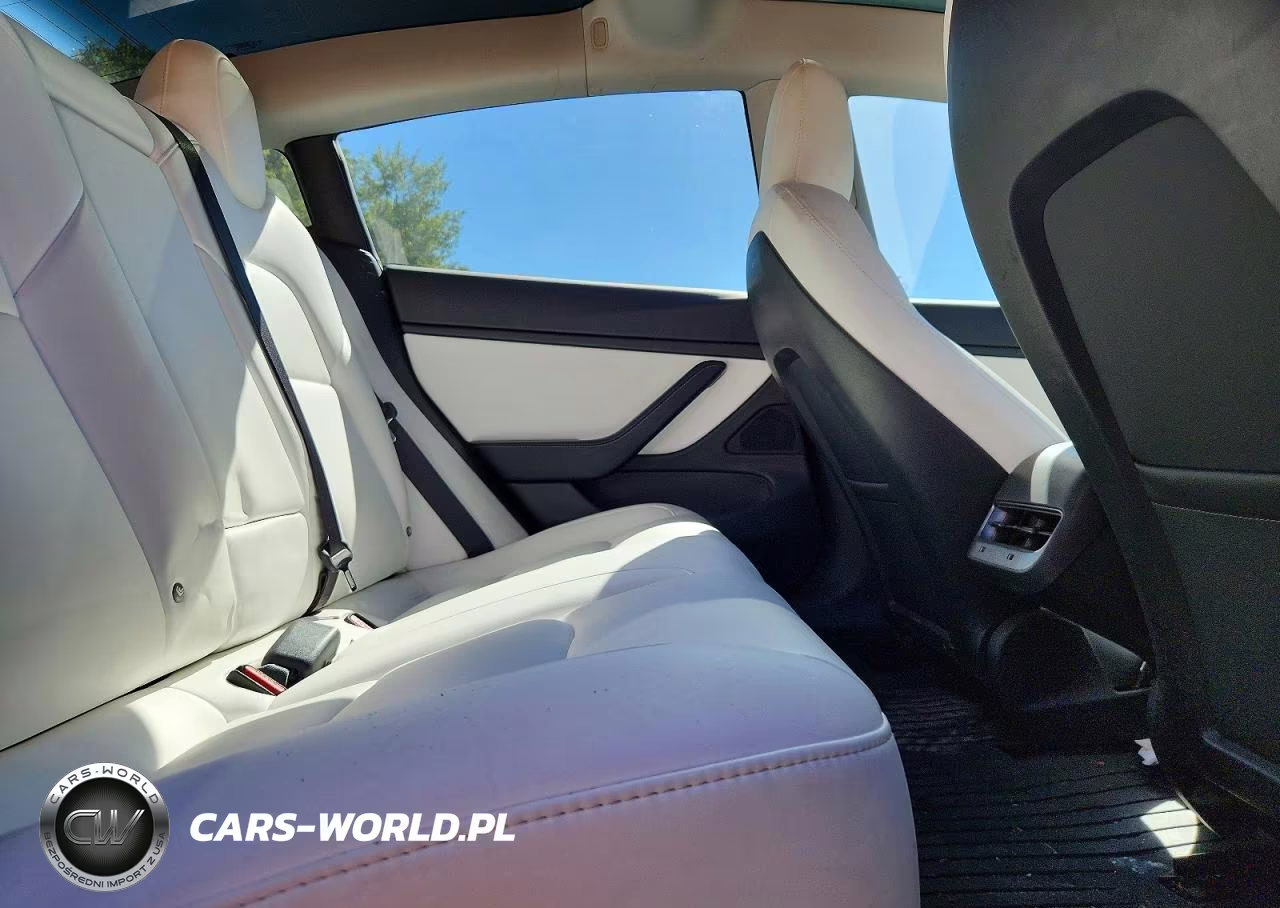 2018 Tesla Model 3 VIN:5YJ3E1EB4JF184313 - 10