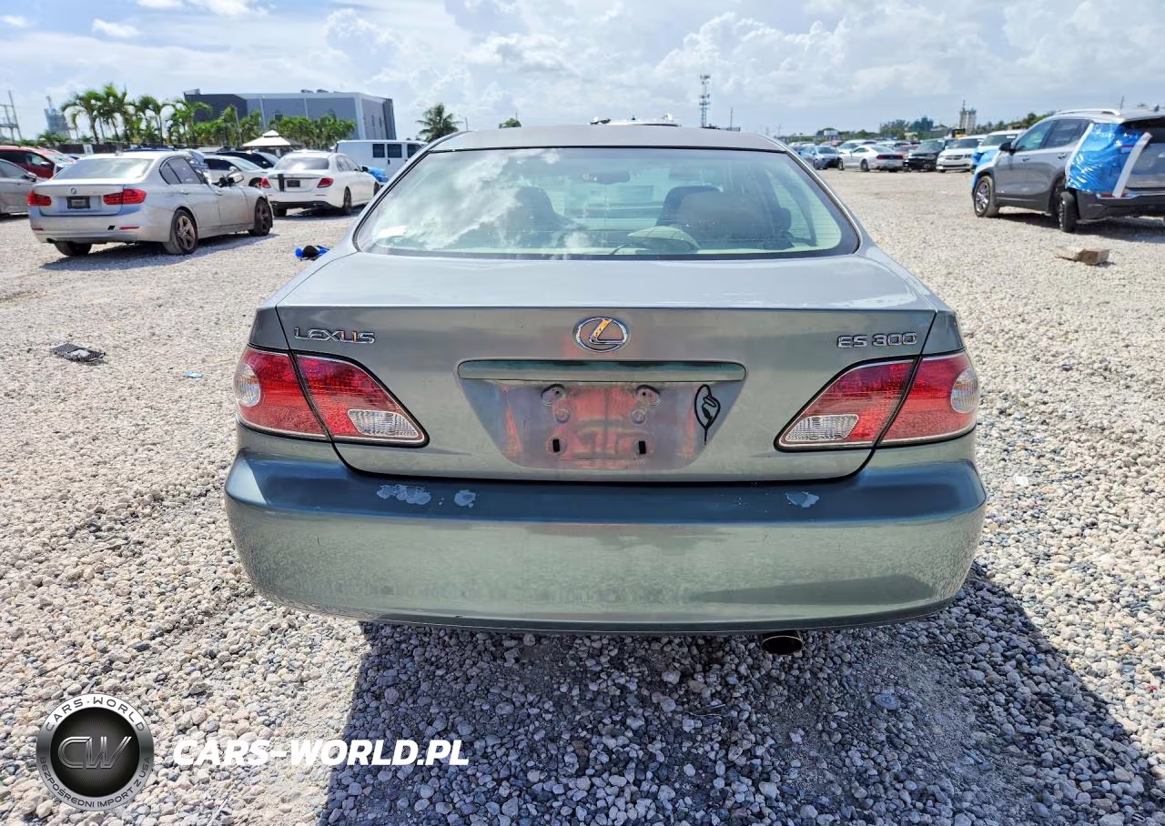 2002 Lexus Es 300 VIN:JTHBF30G220054181 - 6