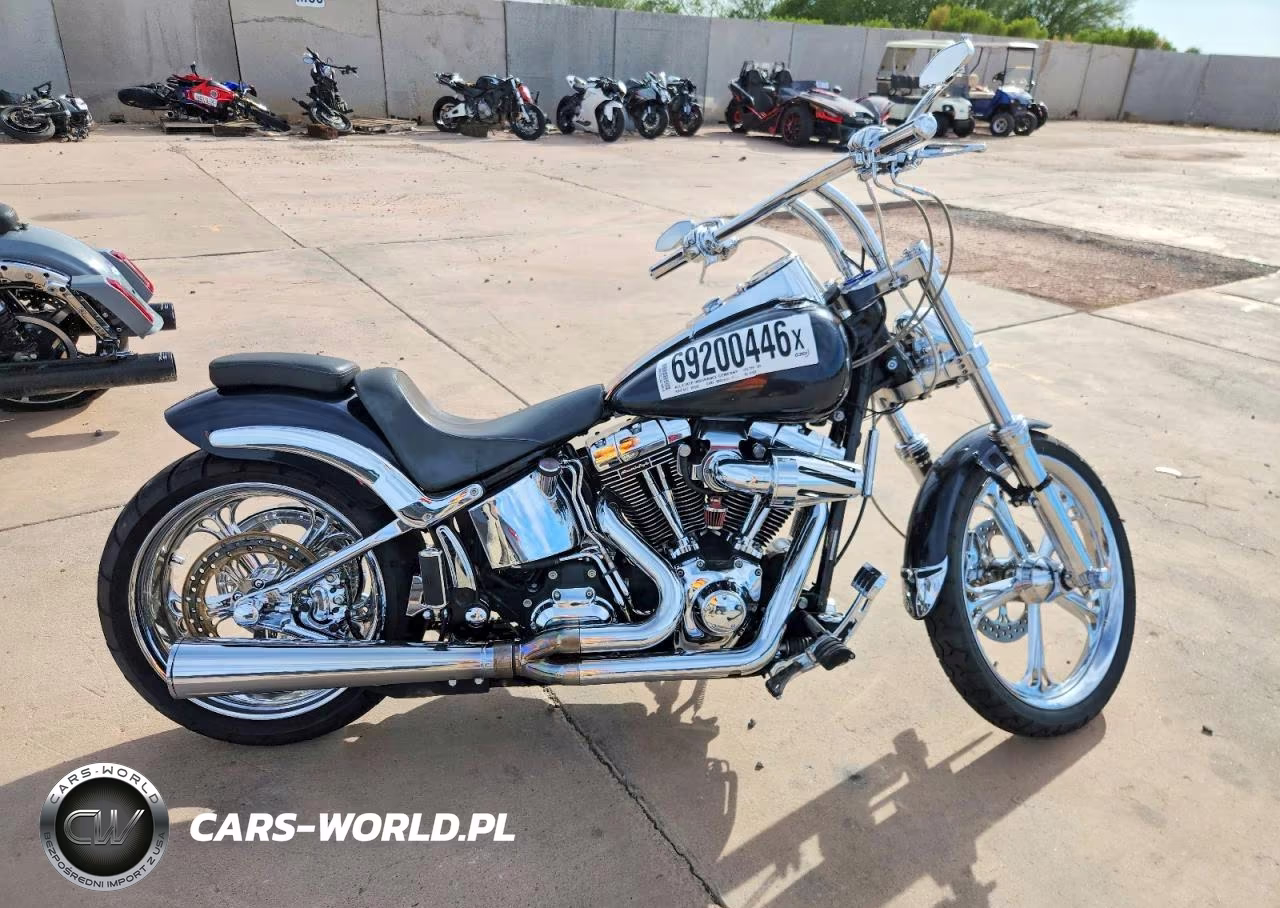 2007 Harley-Davidson Fxst Custom