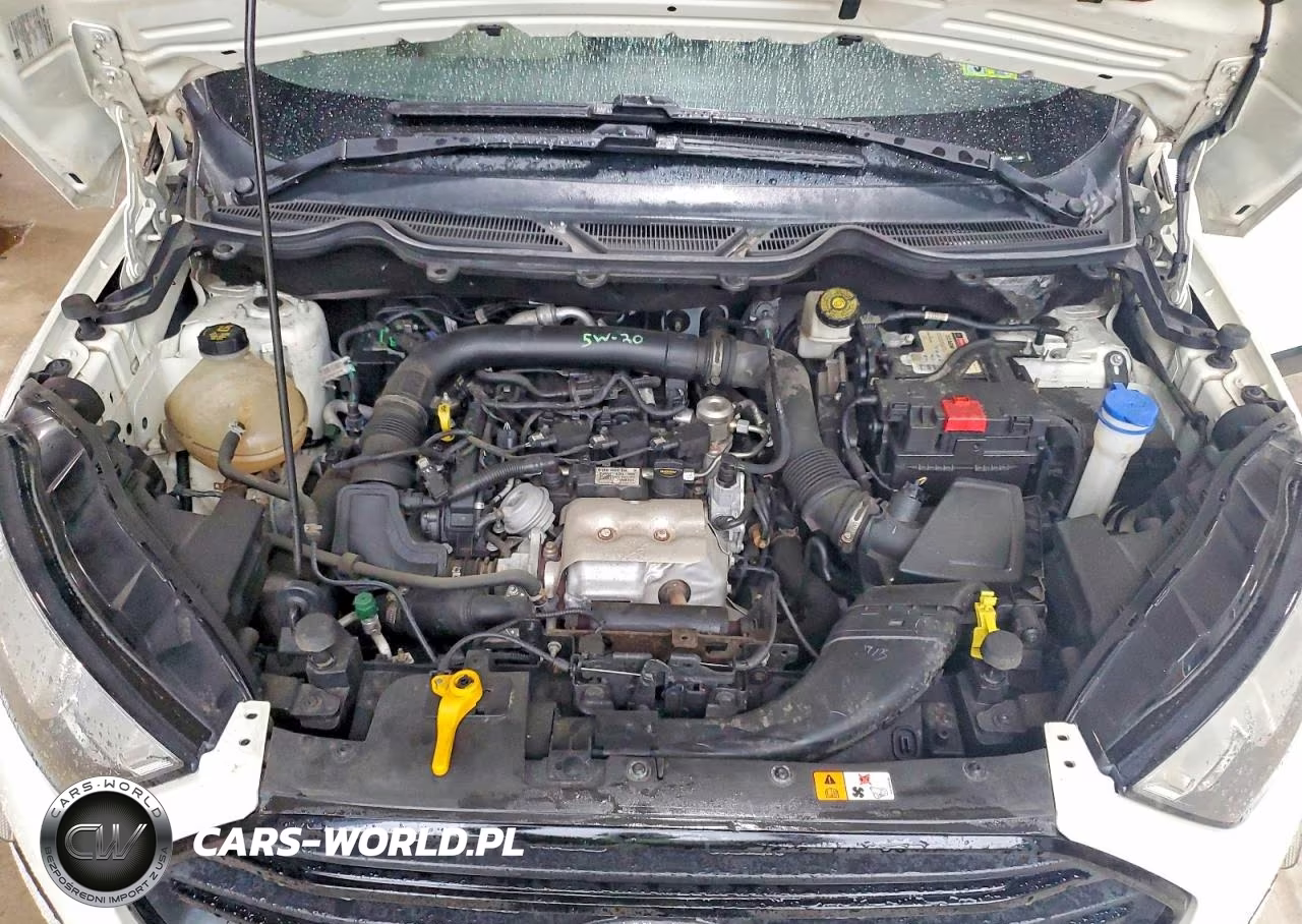 2020 Ford Ecosport S VIN:MAJ3S2FE8LC364603 - 12