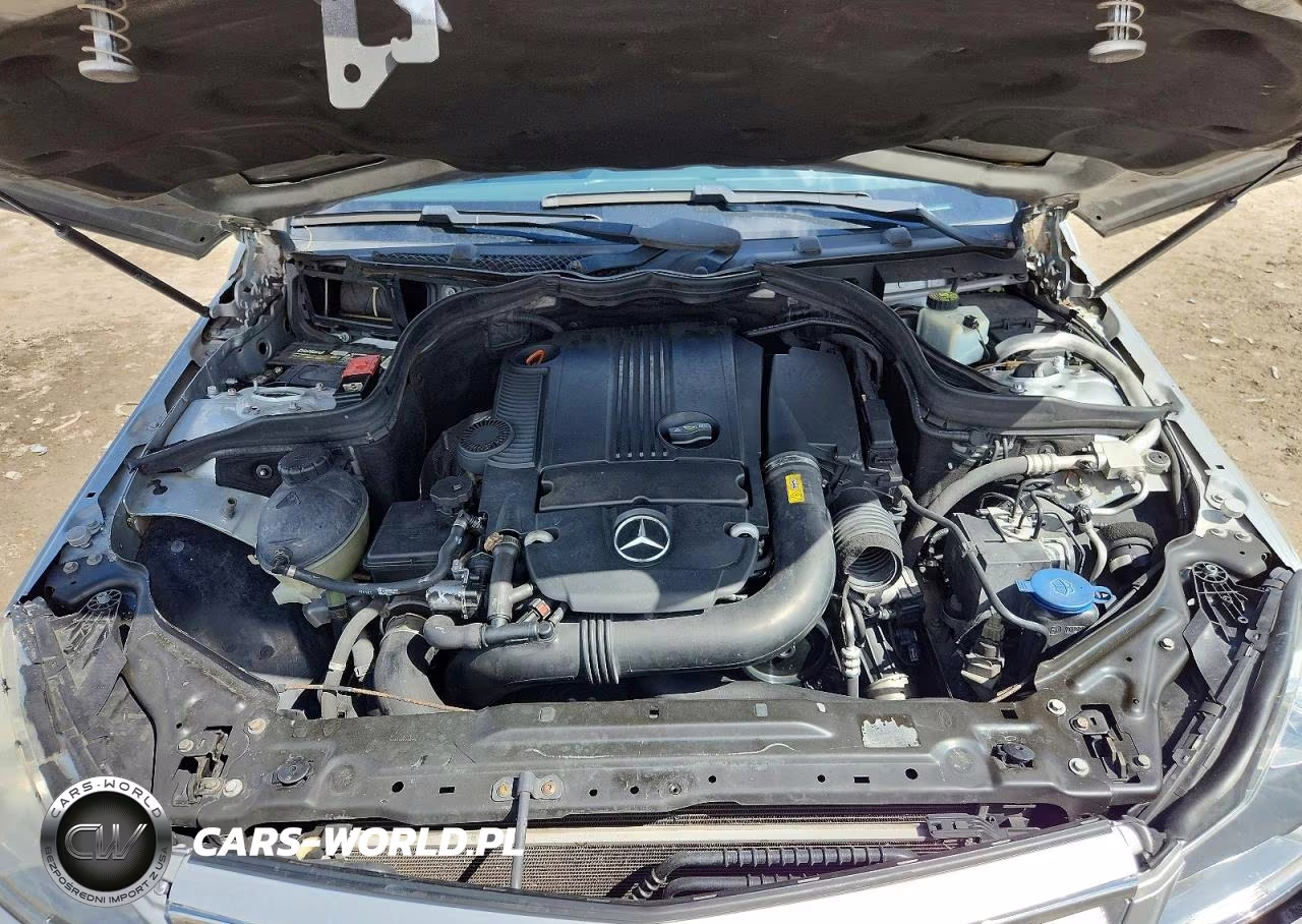 2014 Mercedes-Benz C 250 VIN:WDDGF4HB6EA949926 - 11