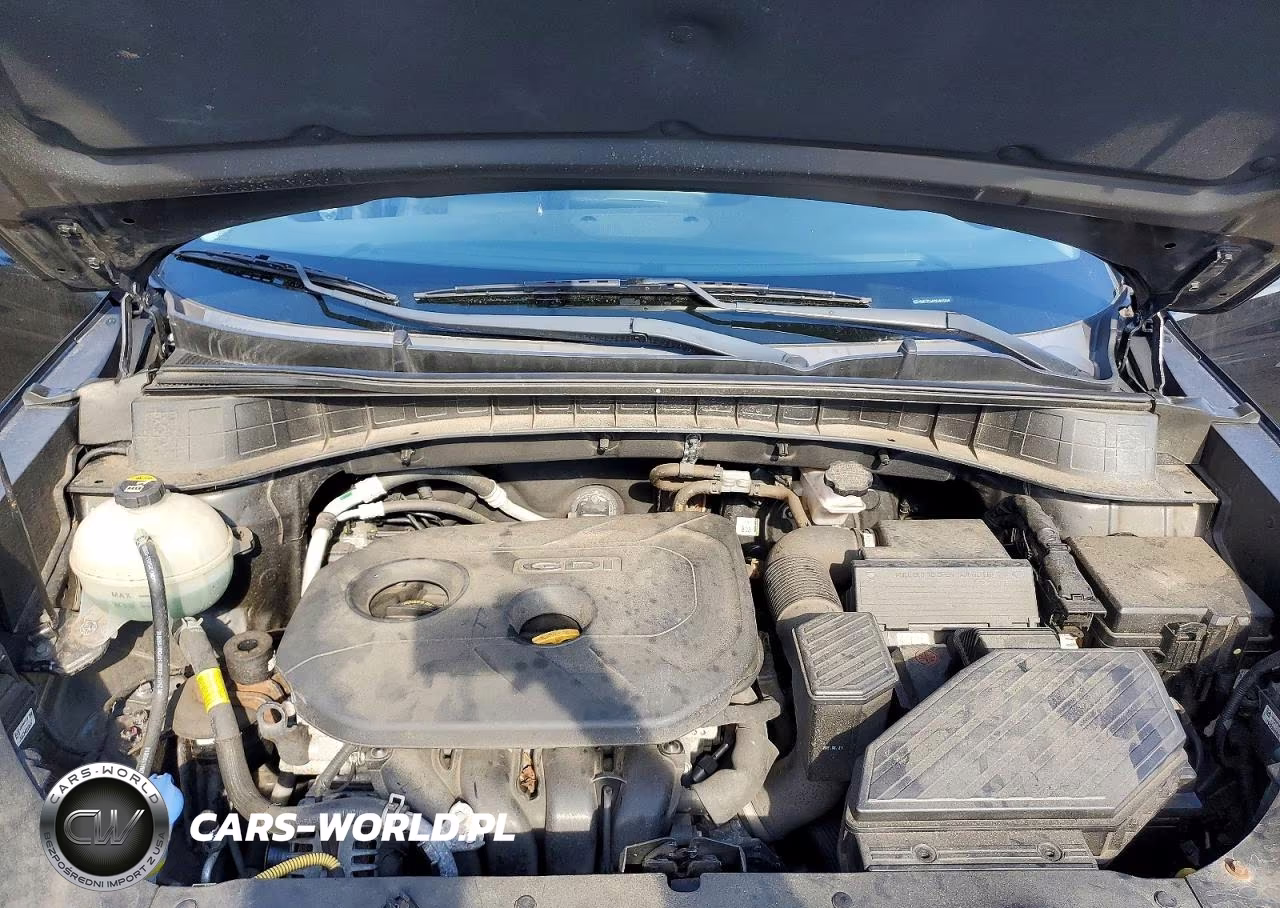 2019 Hyundai Tucson Se VIN:KM8J2CA4XKU846838 - 12