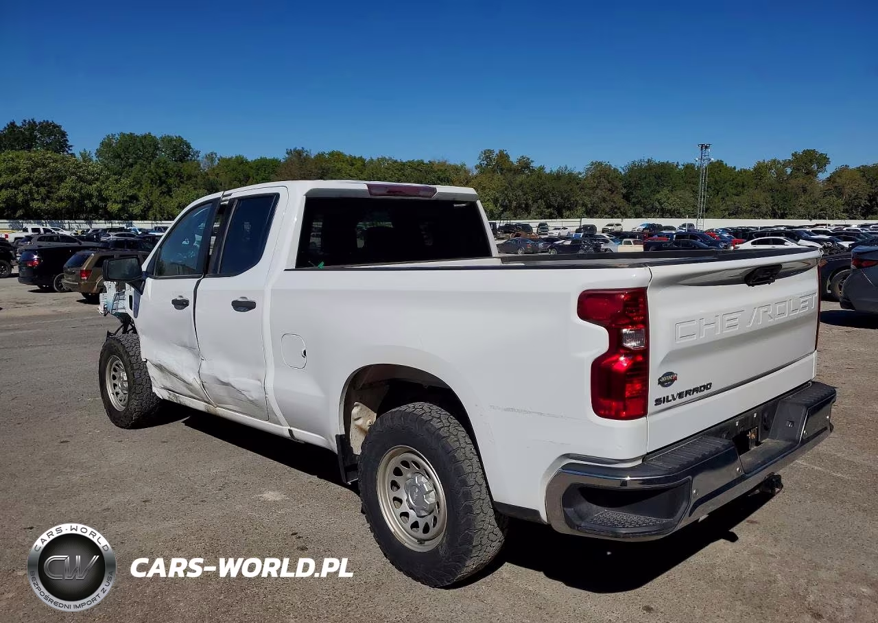 2023 Chevrolet Silverado C1500 VIN:1GCRAAEK9PZ116579 - 2