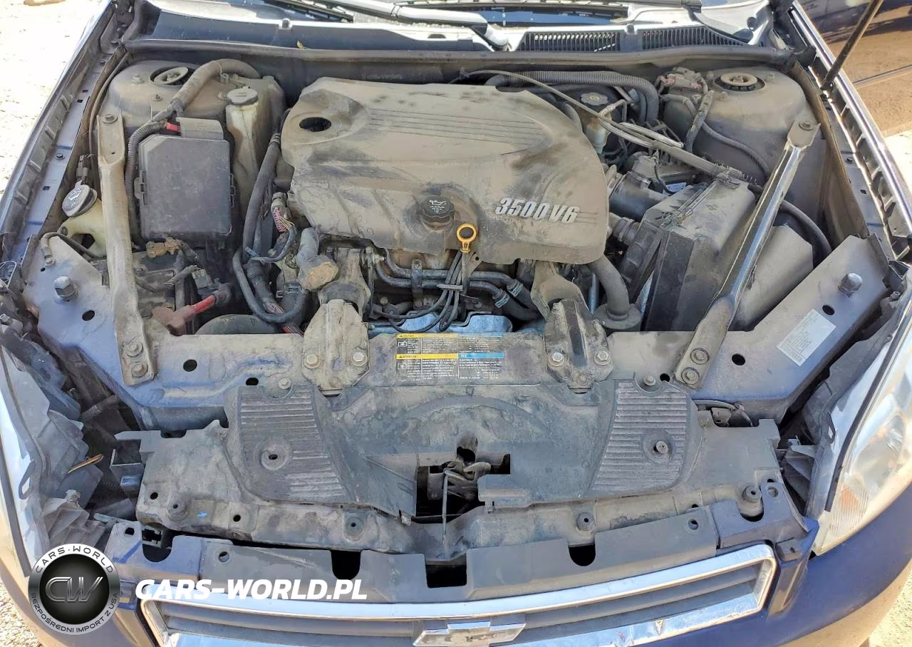 2010 Chevrolet Impala VIN:2G1WB5EN9A1186691 - 11