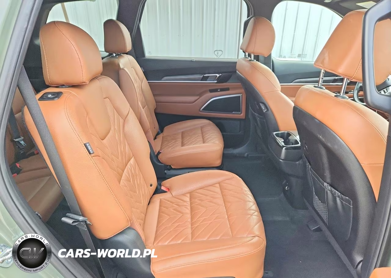 2024 Kia Telluride Ex X-Line VIN:5XYP3DGC7RG509457 - 11