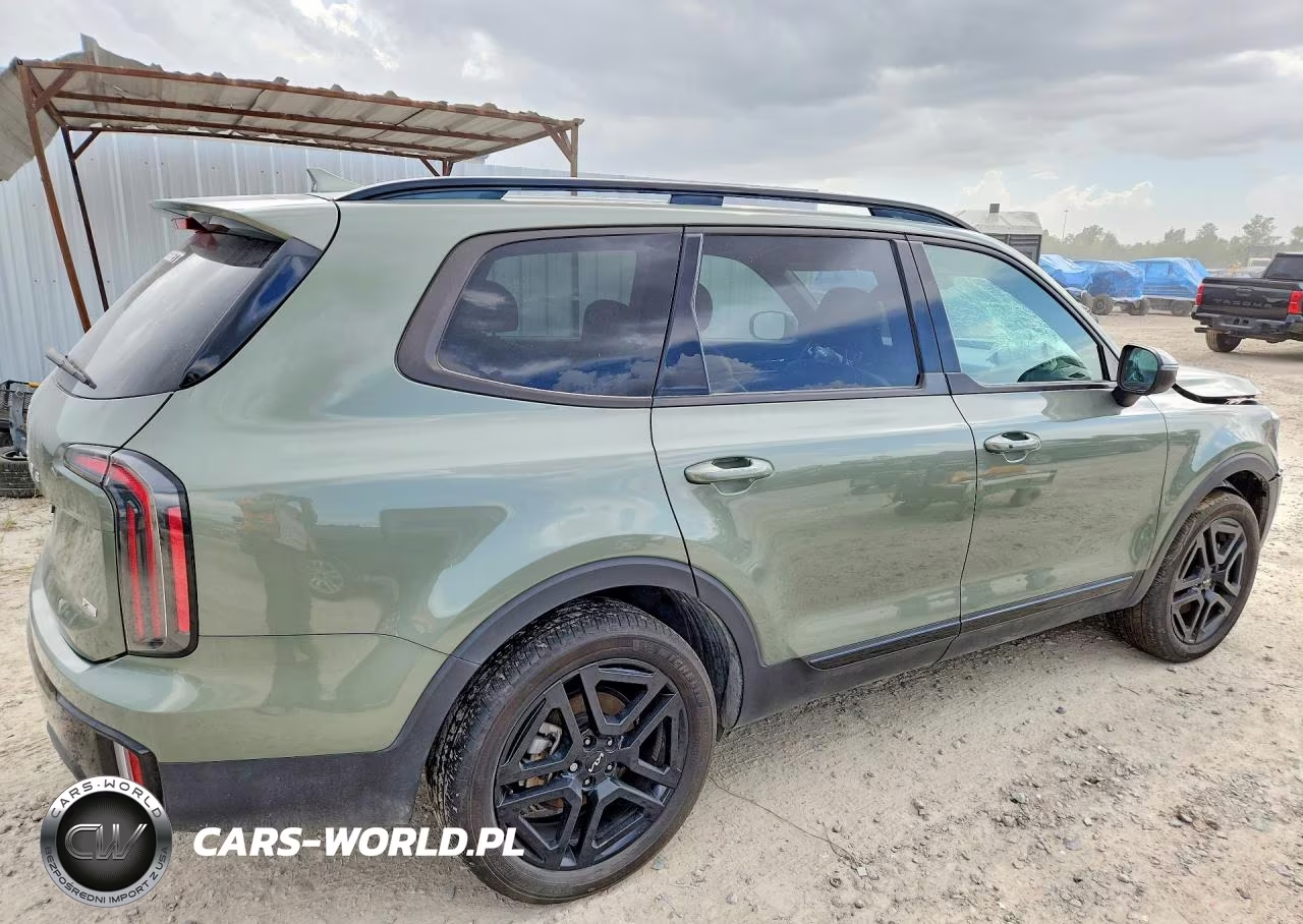 2024 Kia Telluride Ex X-Line VIN:5XYP3DGC7RG509457 - 3
