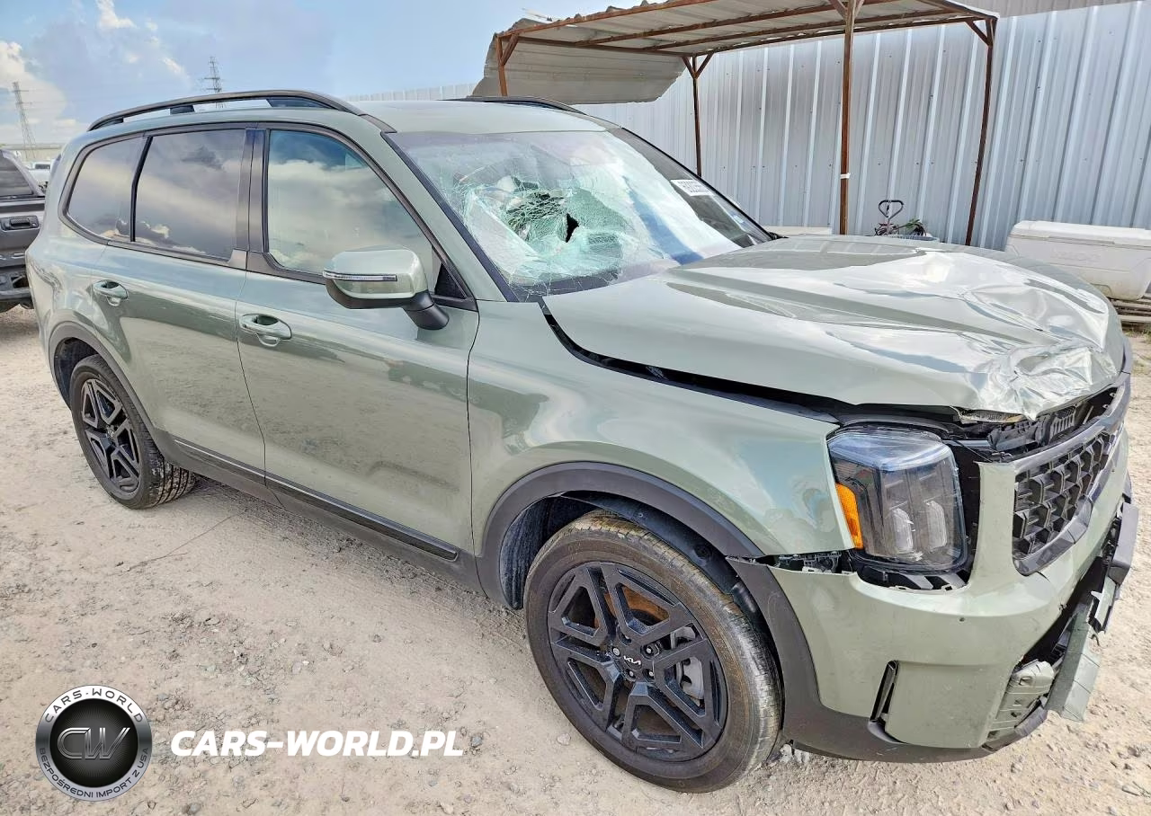 2024 Kia Telluride Ex X-Line VIN:5XYP3DGC7RG509457 - 4