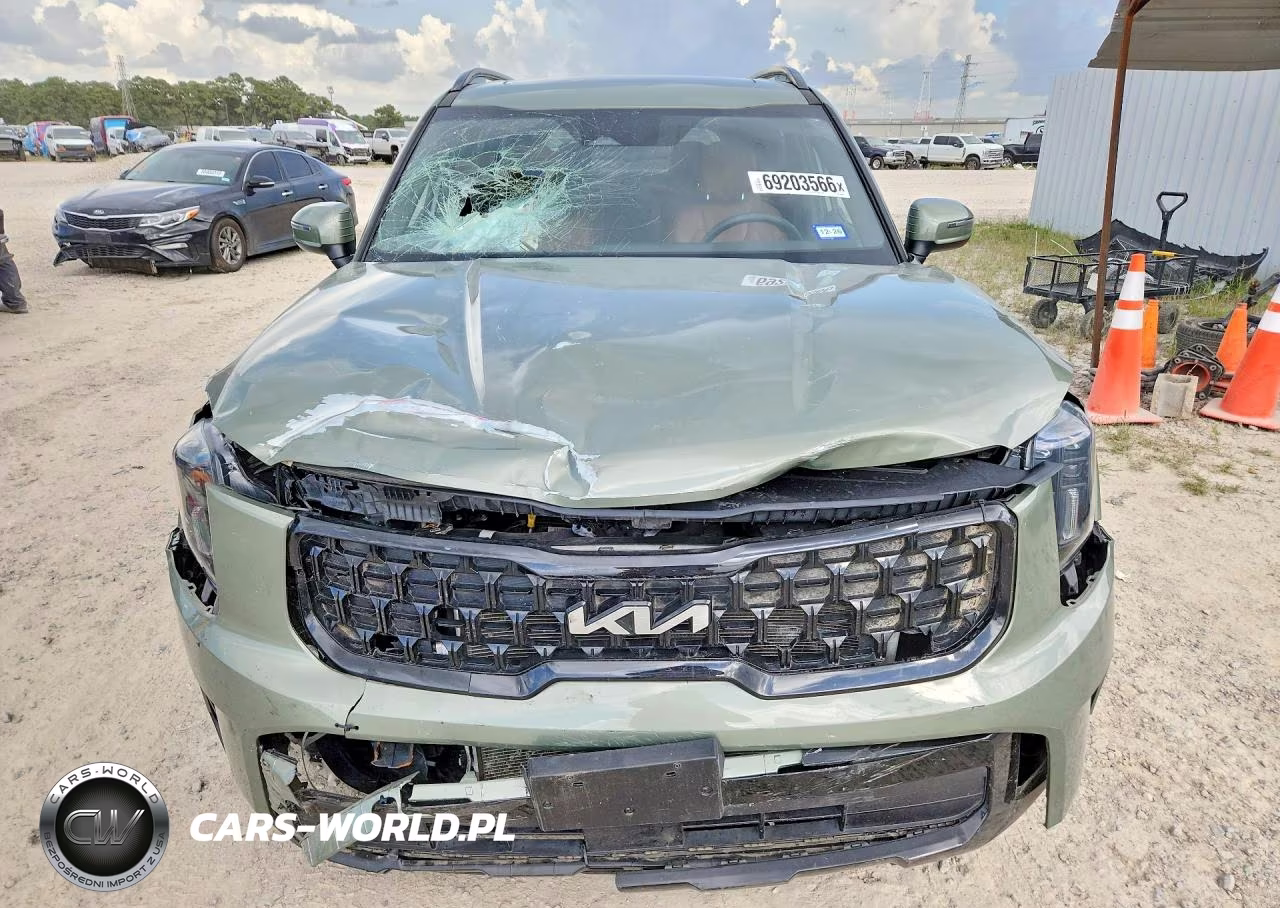 2024 Kia Telluride Ex X-Line VIN:5XYP3DGC7RG509457 - 5