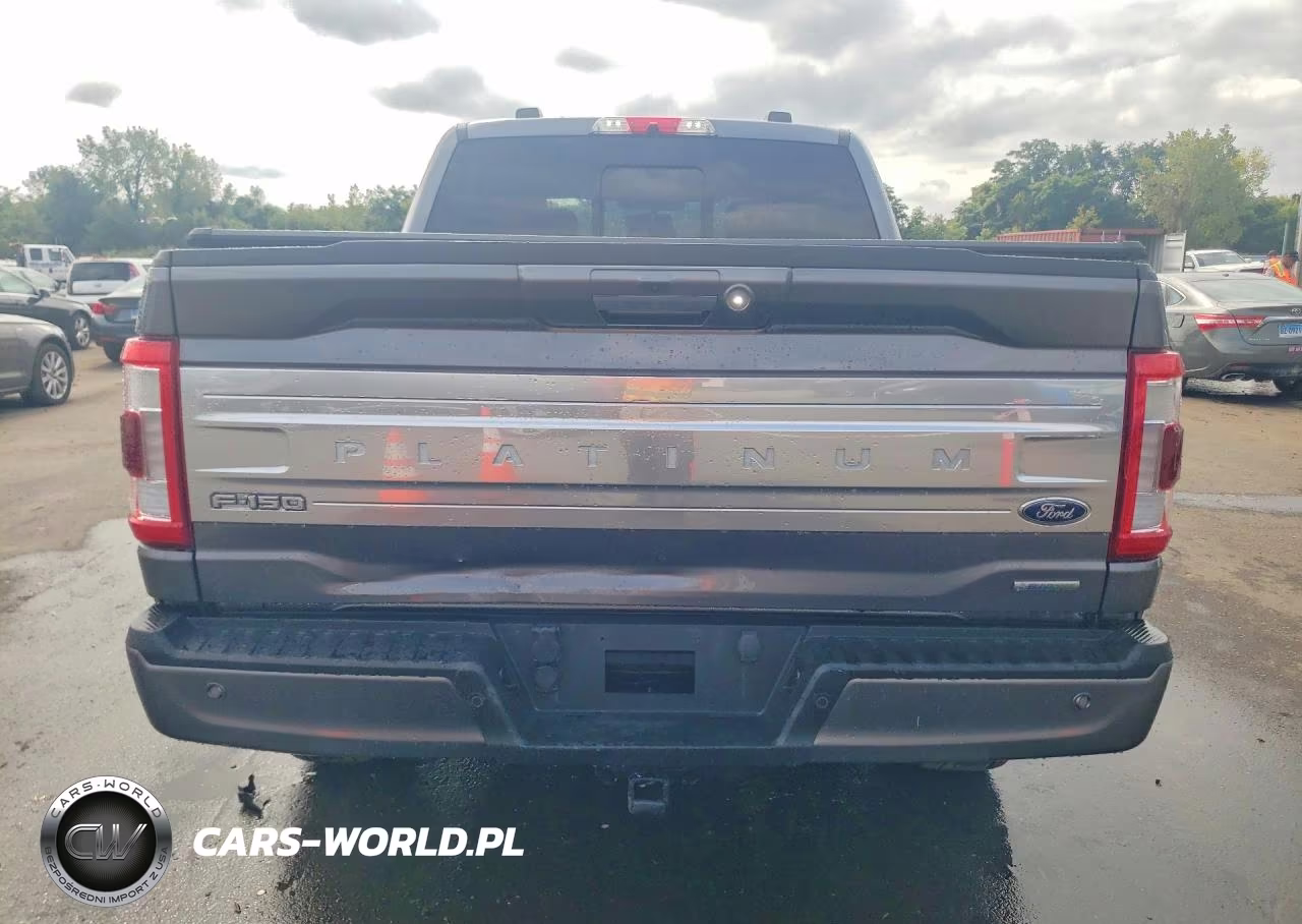 2021 Ford F150 Supercrew VIN:1FTFW1E88MFA97528 - 6