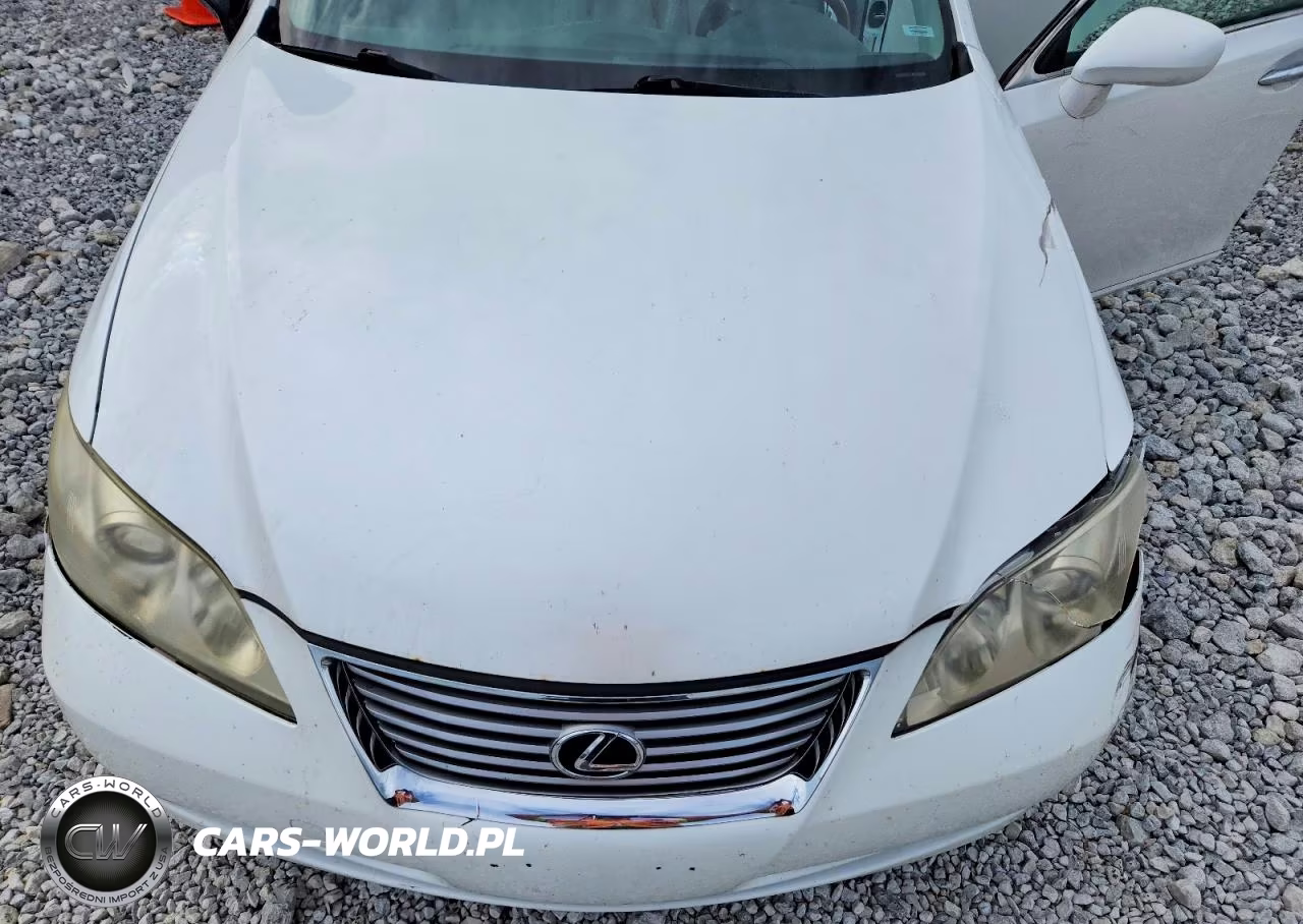 2009 Lexus Es 350 VIN:JTHBJ46G592337183 - 11