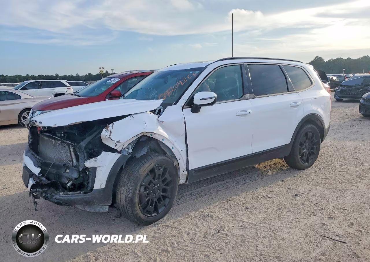 2021 Kia Telluride Ex VIN:5XYP3DHC0MG179278 - 1