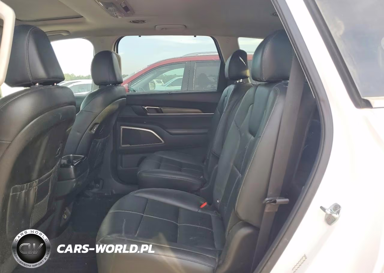 2021 Kia Telluride Ex VIN:5XYP3DHC0MG179278 - 11