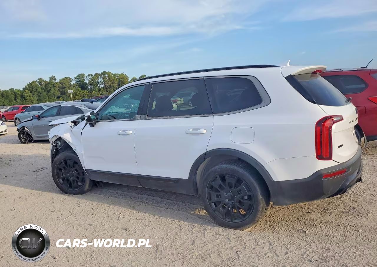 2021 Kia Telluride Ex VIN:5XYP3DHC0MG179278 - 2