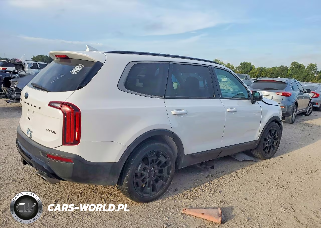 2021 Kia Telluride Ex VIN:5XYP3DHC0MG179278 - 3