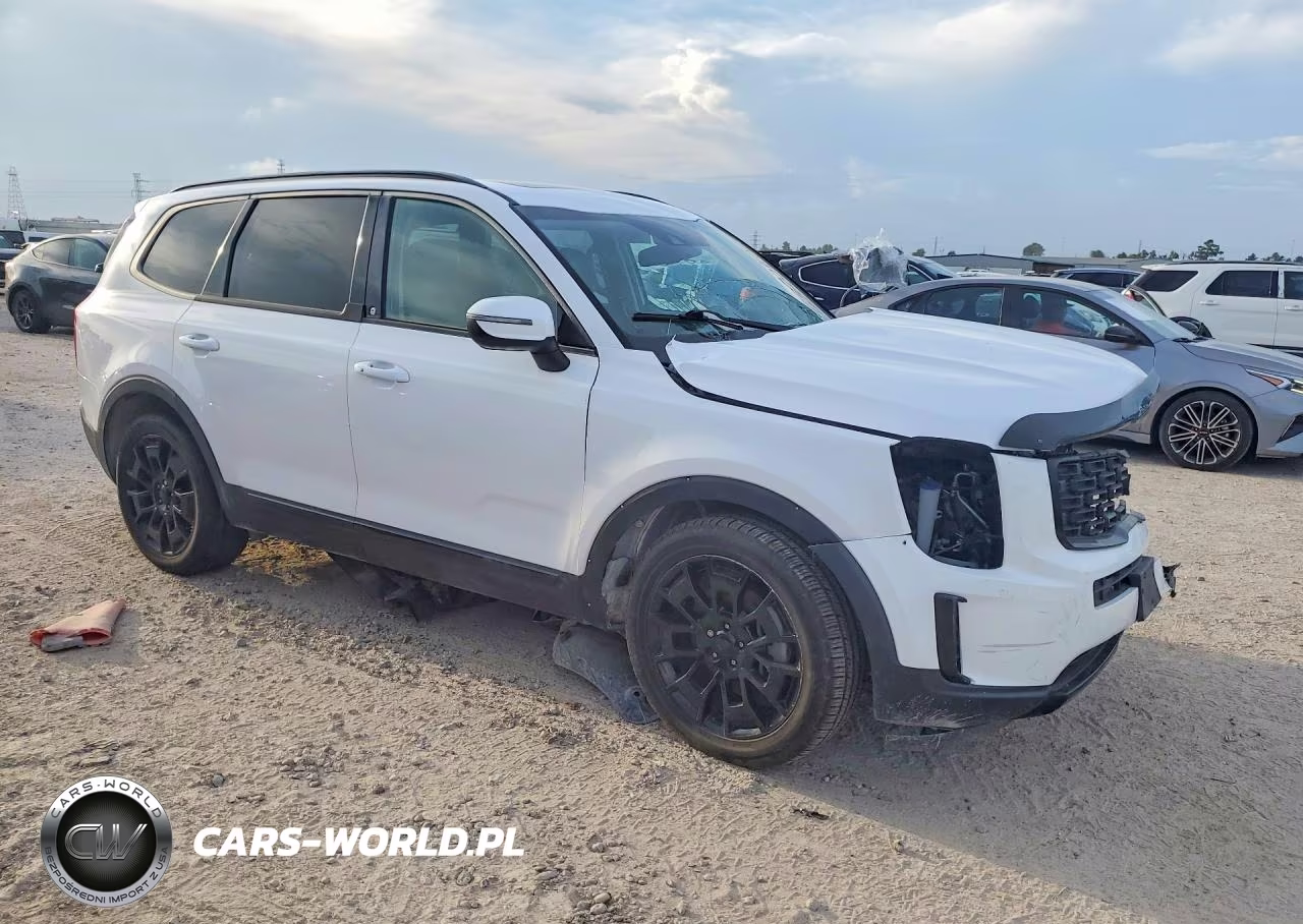 2021 Kia Telluride Ex VIN:5XYP3DHC0MG179278 - 4