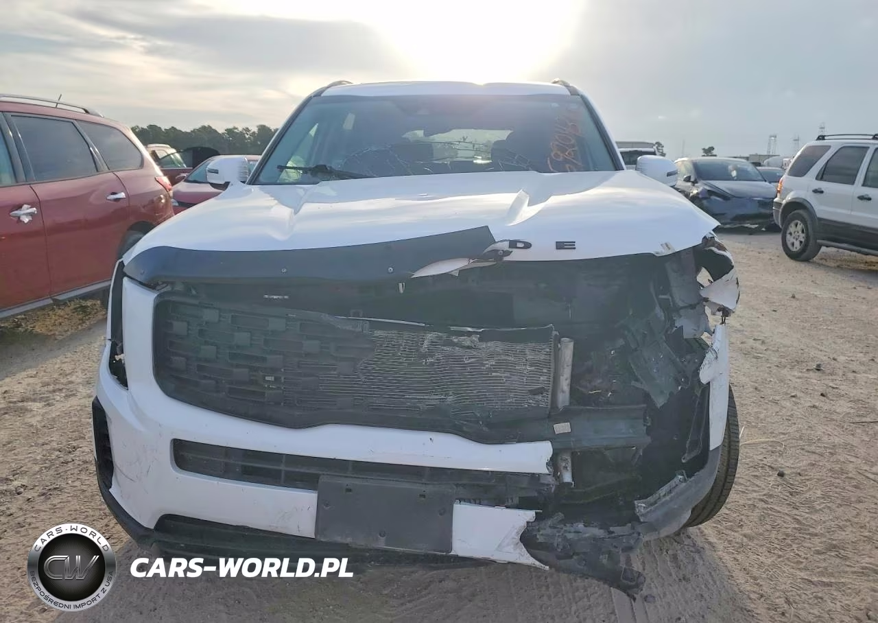 2021 Kia Telluride Ex VIN:5XYP3DHC0MG179278 - 5