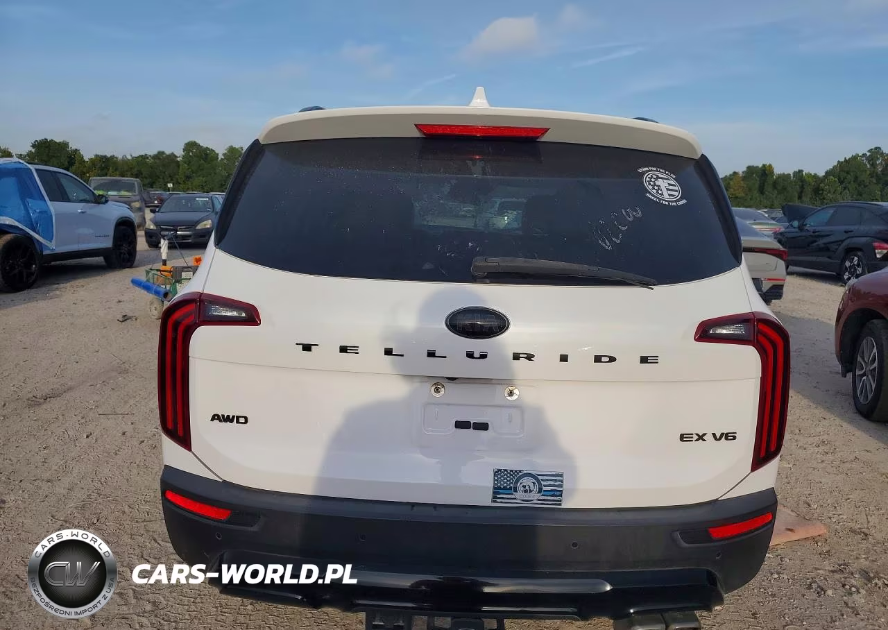 2021 Kia Telluride Ex VIN:5XYP3DHC0MG179278 - 6