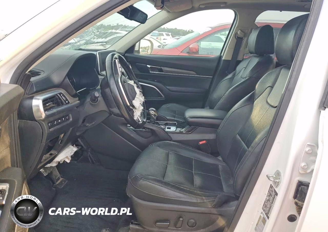 2021 Kia Telluride Ex VIN:5XYP3DHC0MG179278 - 7