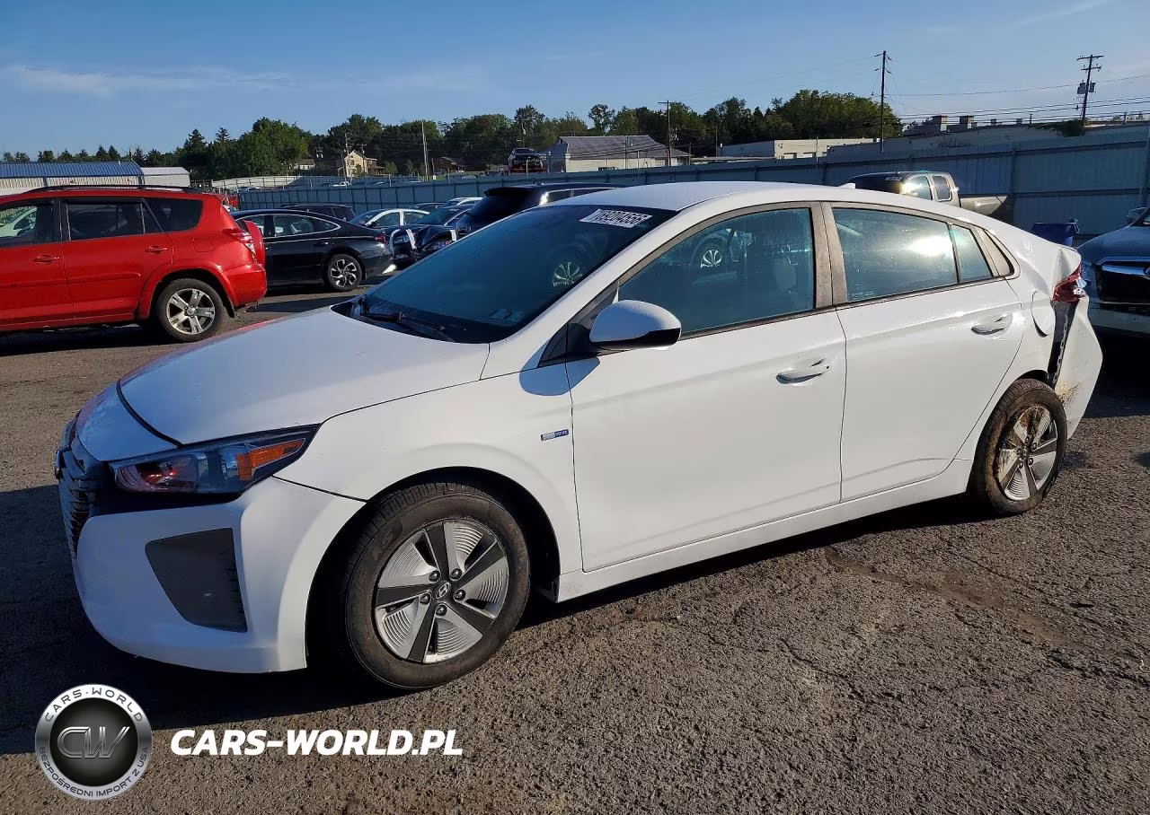 2019 Hyundai Ioniq Blue VIN:KMHC65LC0KU163334 - 1